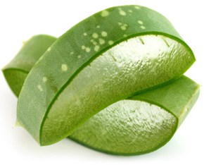 aloe vera health