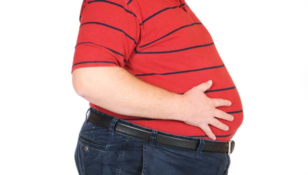 siddha medicine for obesity